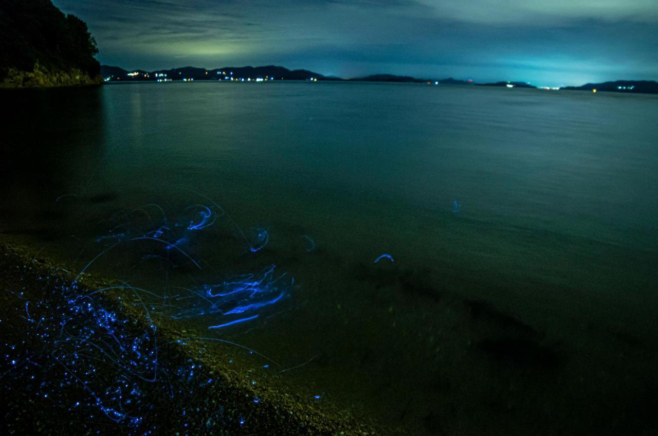Kuroshiomaru Setouchi (Okayama)